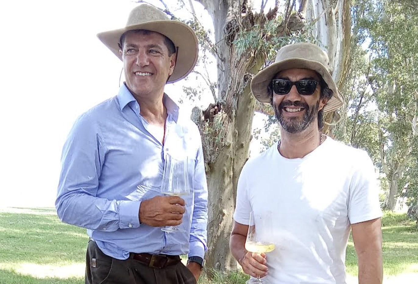 Imagen de la actividad