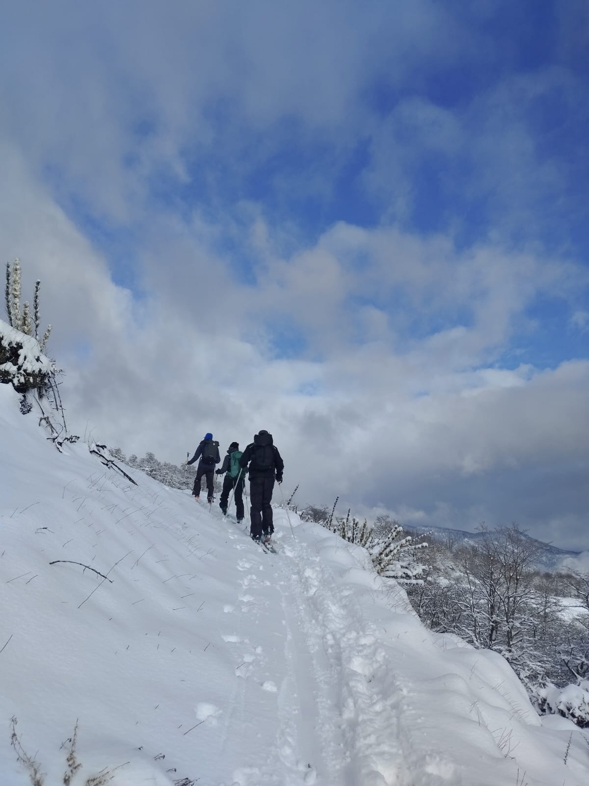 Imagen de la actividad