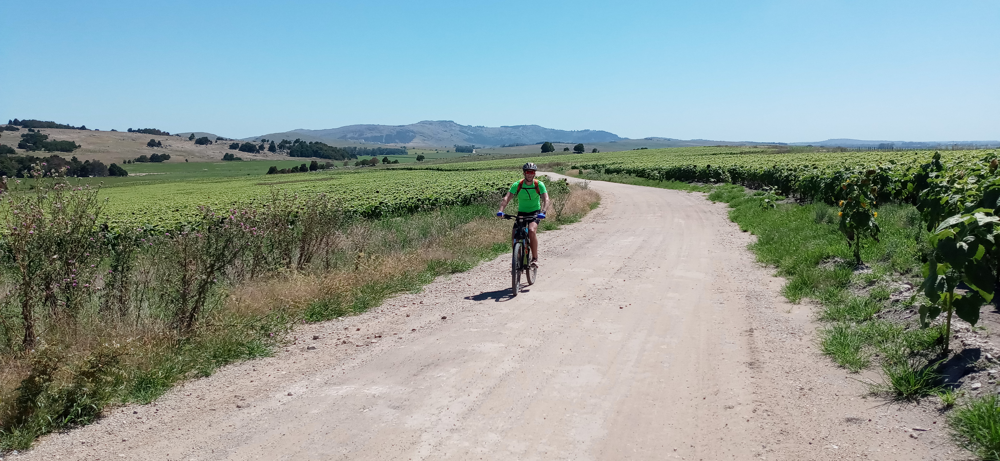 Imagen de la actividad