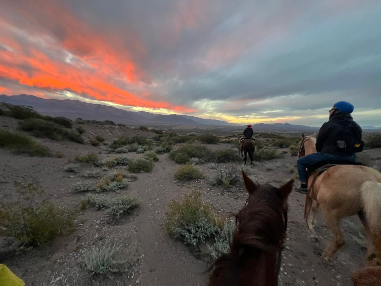 Imagen de la actividad