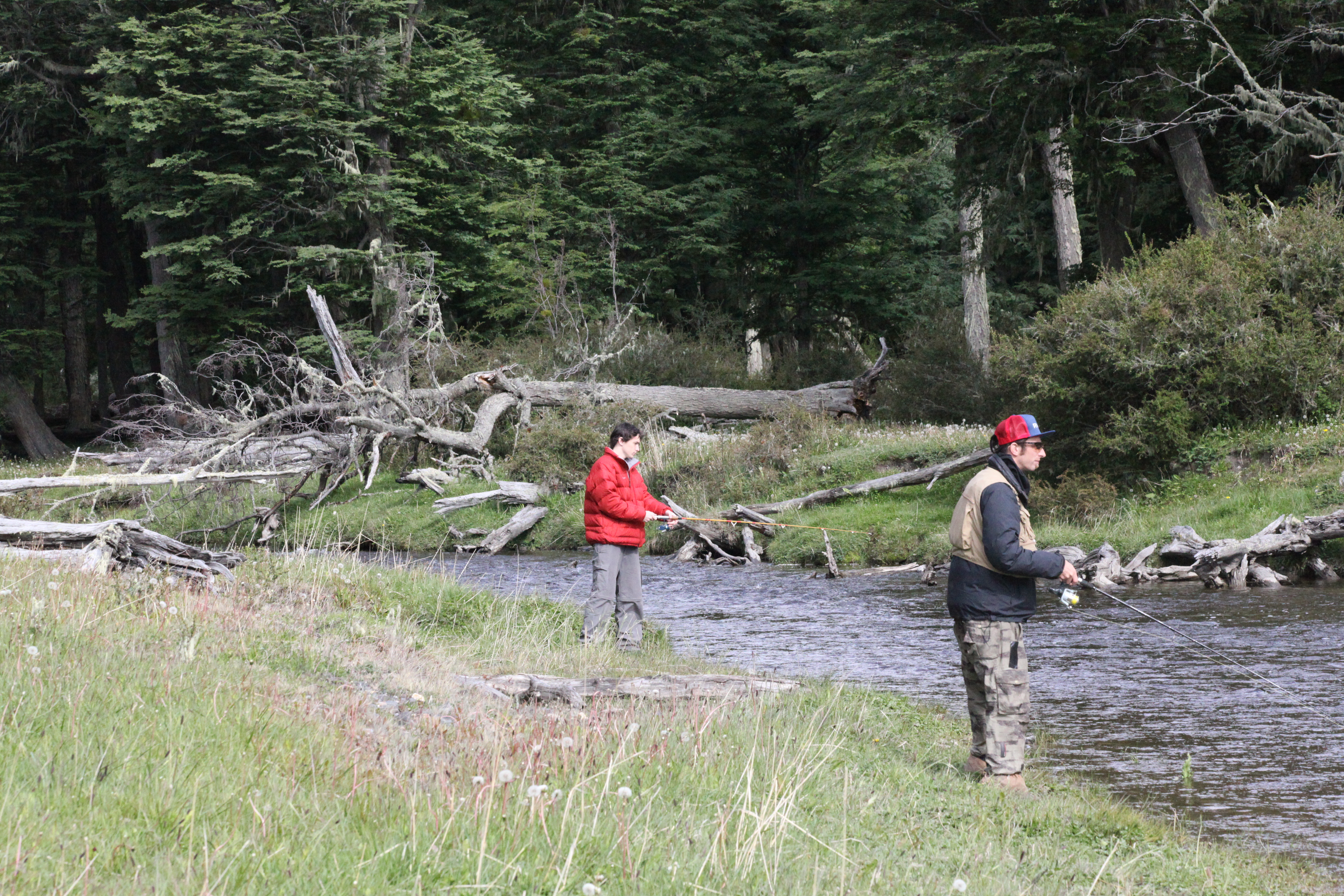 Imagen de la actividad