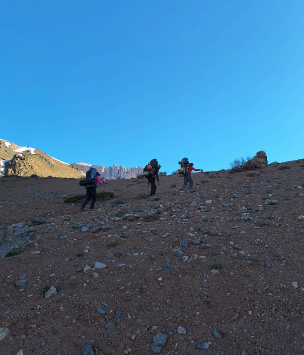 Imagen de la actividad