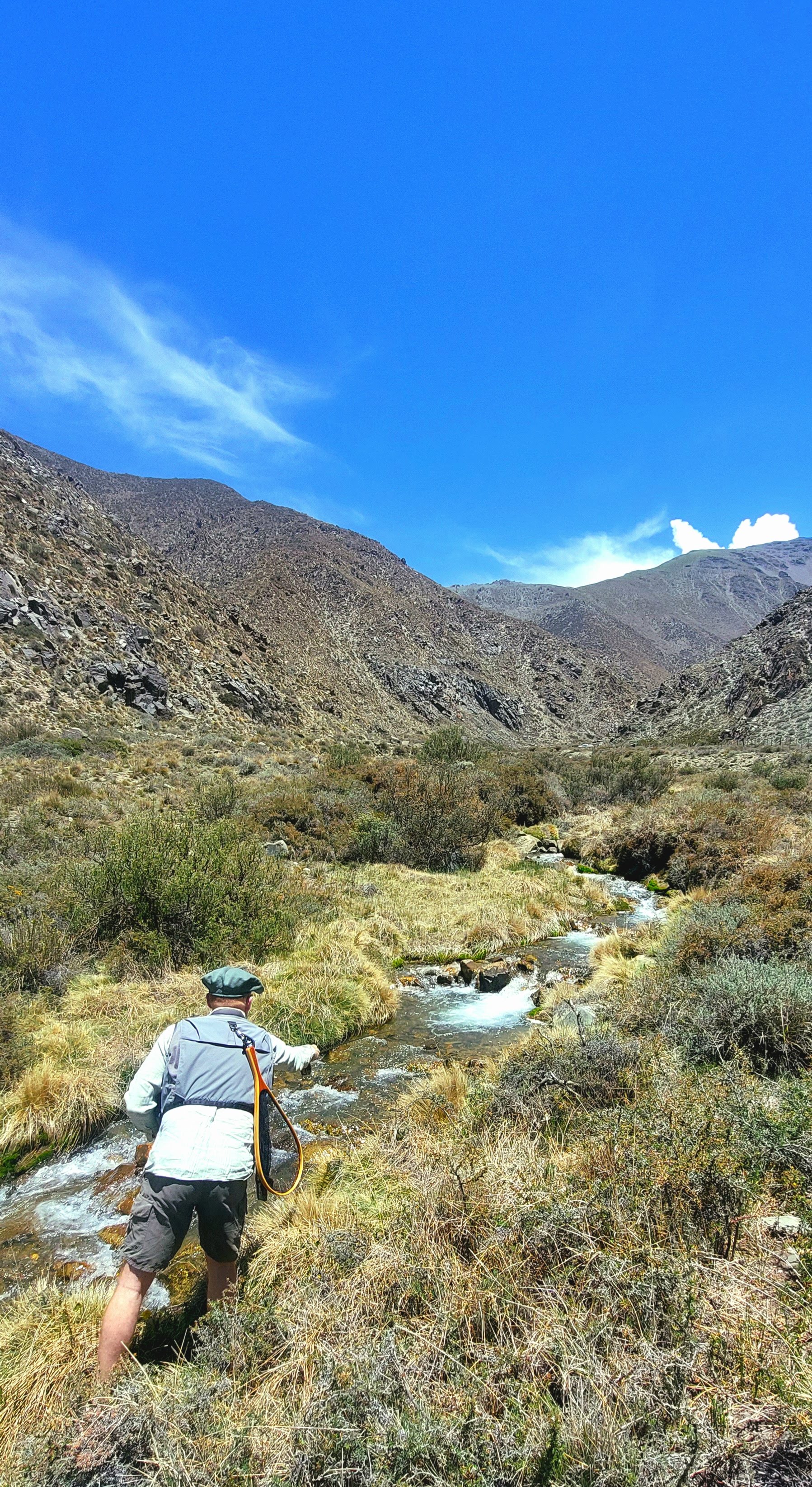 Imagen de la actividad