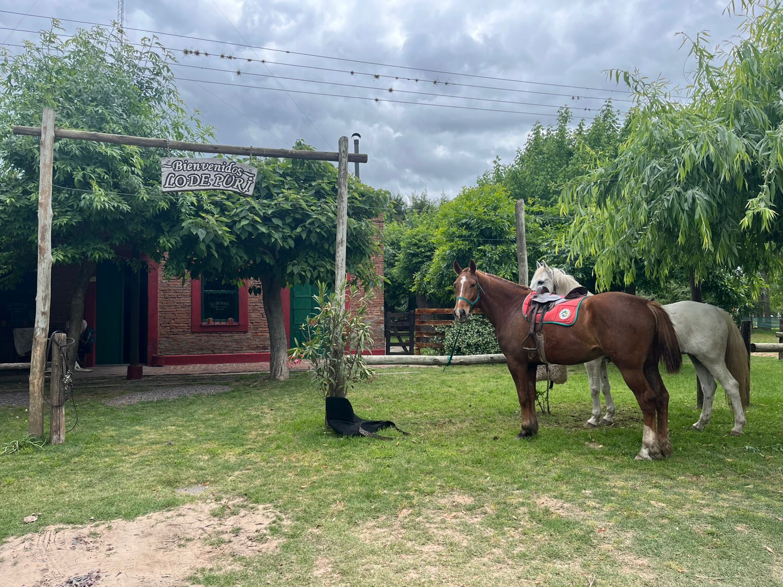 Imagen de la actividad