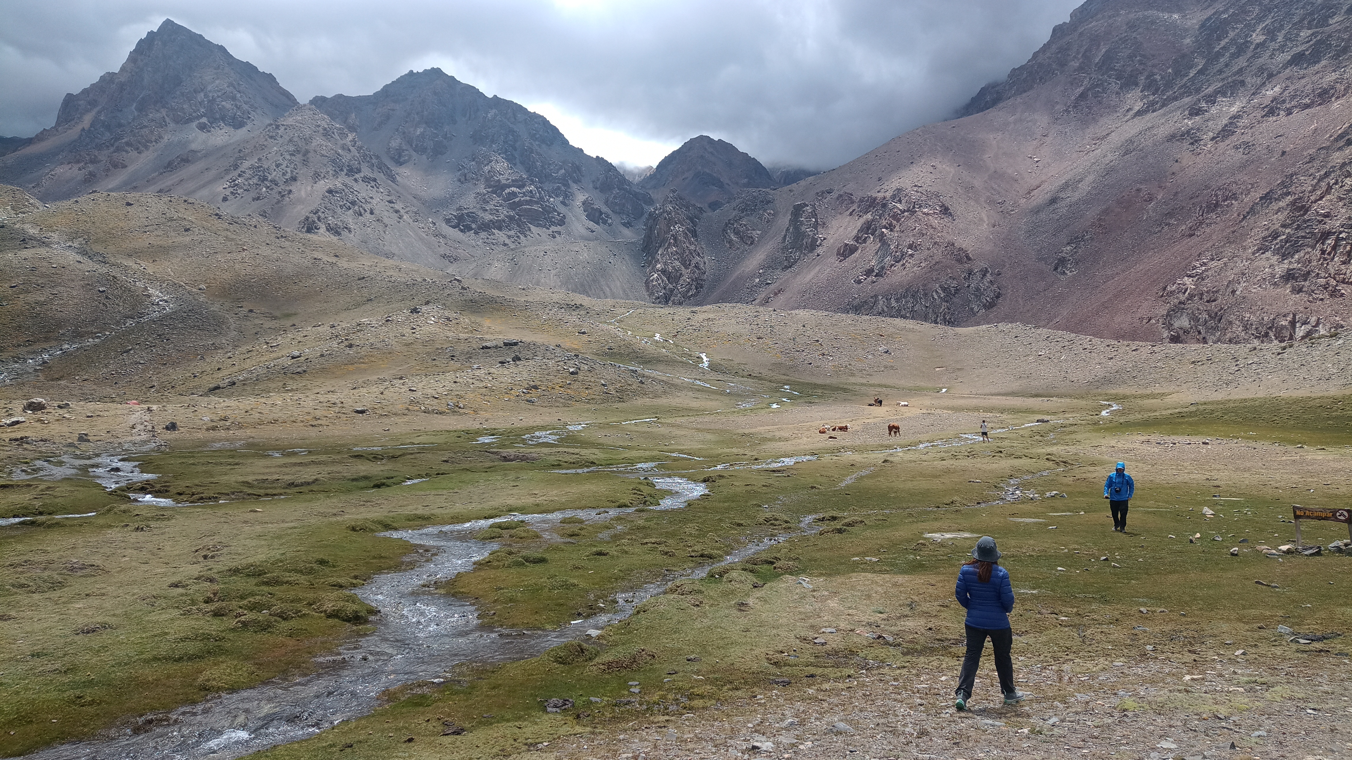 Imagen de la actividad