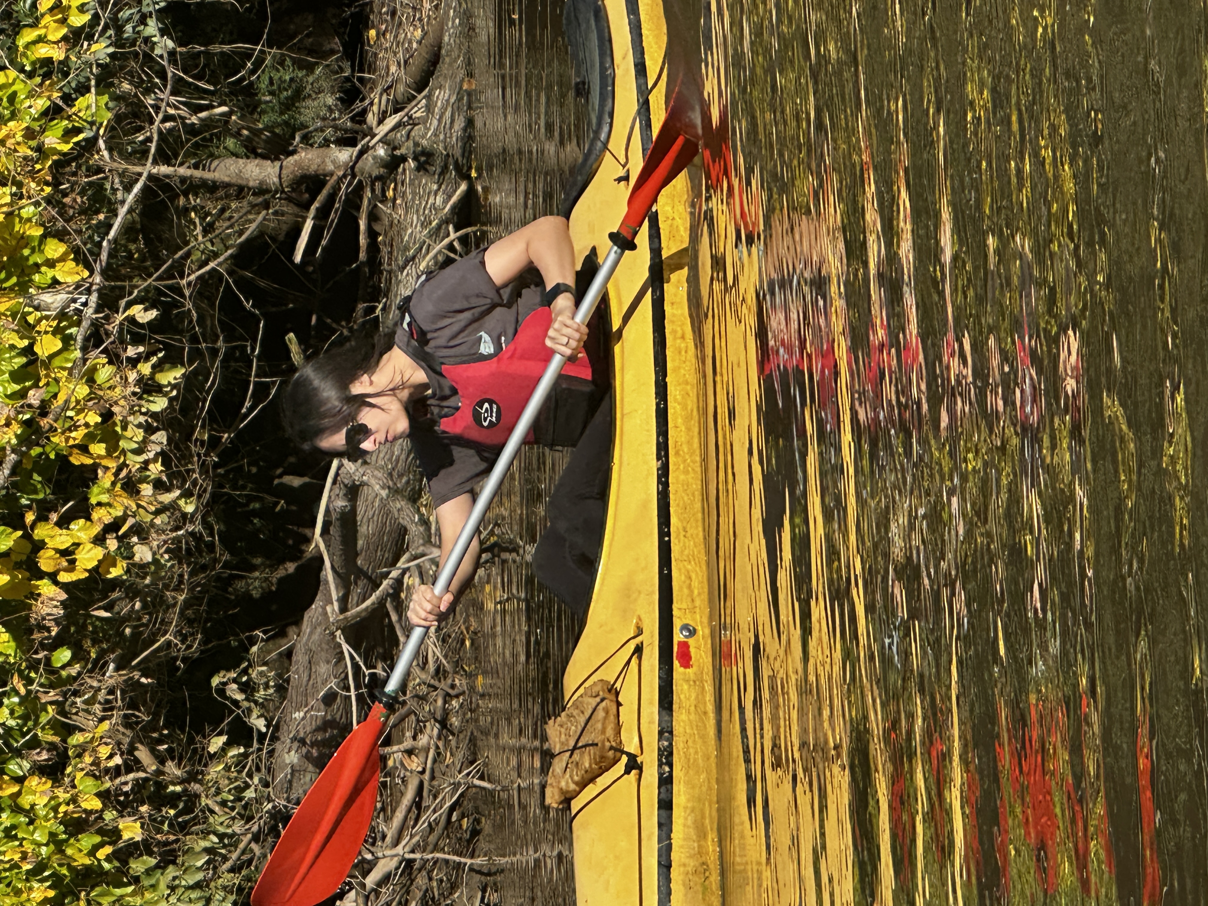 Imagen de la actividad