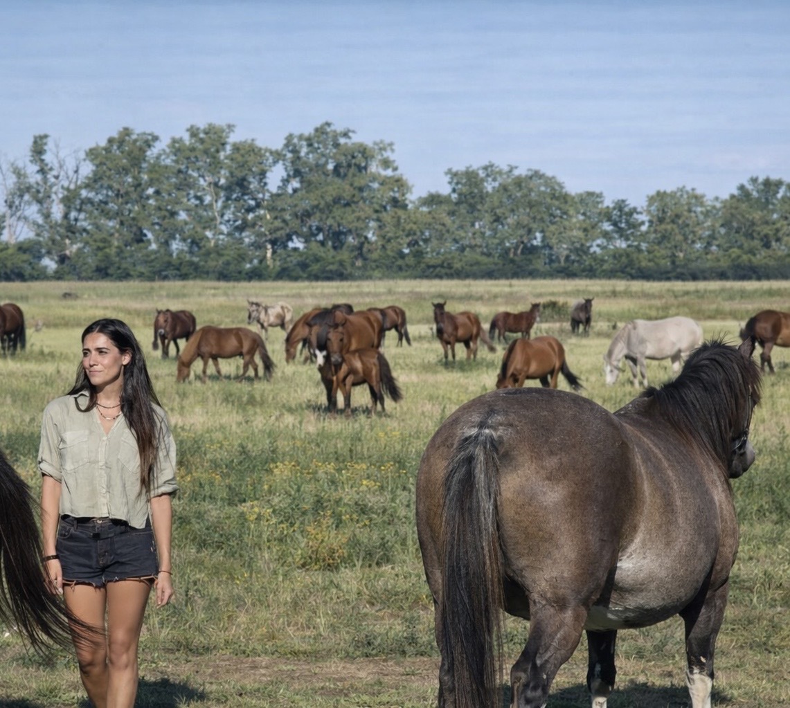 Imagen de la actividad