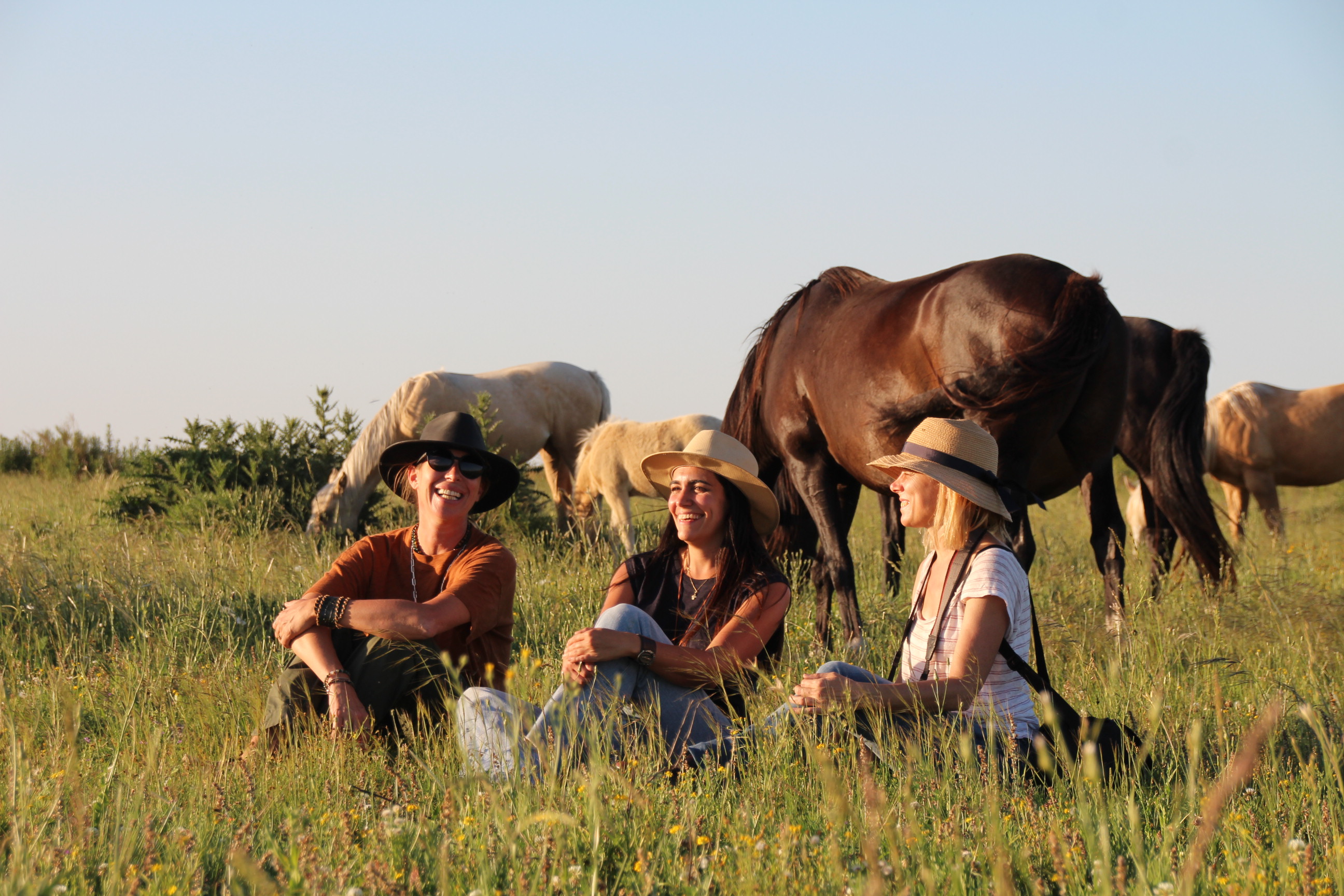 Imagen de la actividad