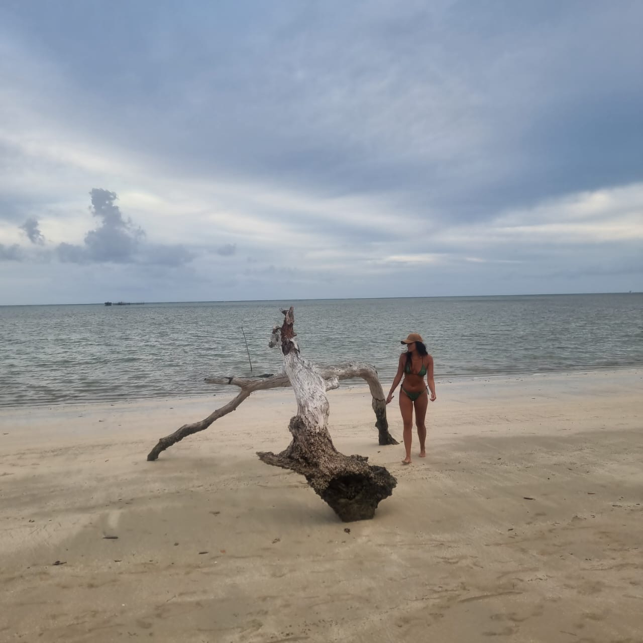 Imagen de la actividad