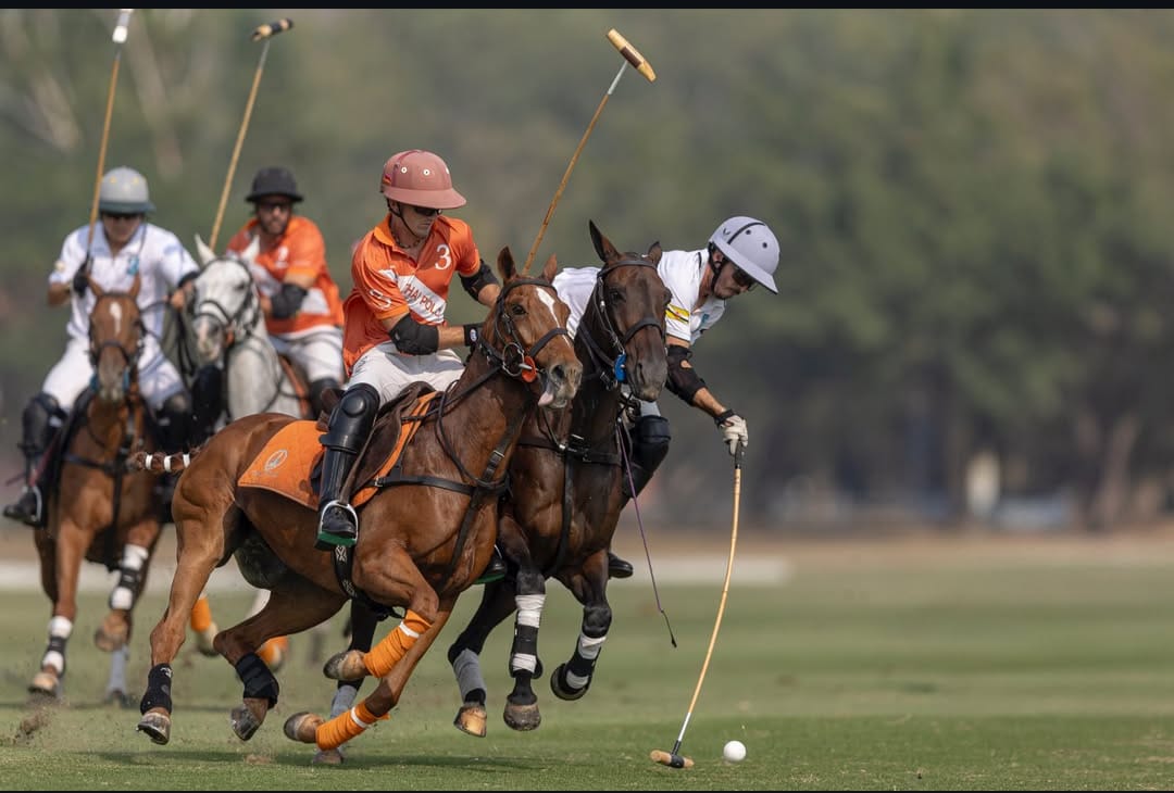 Imagen de la actividad