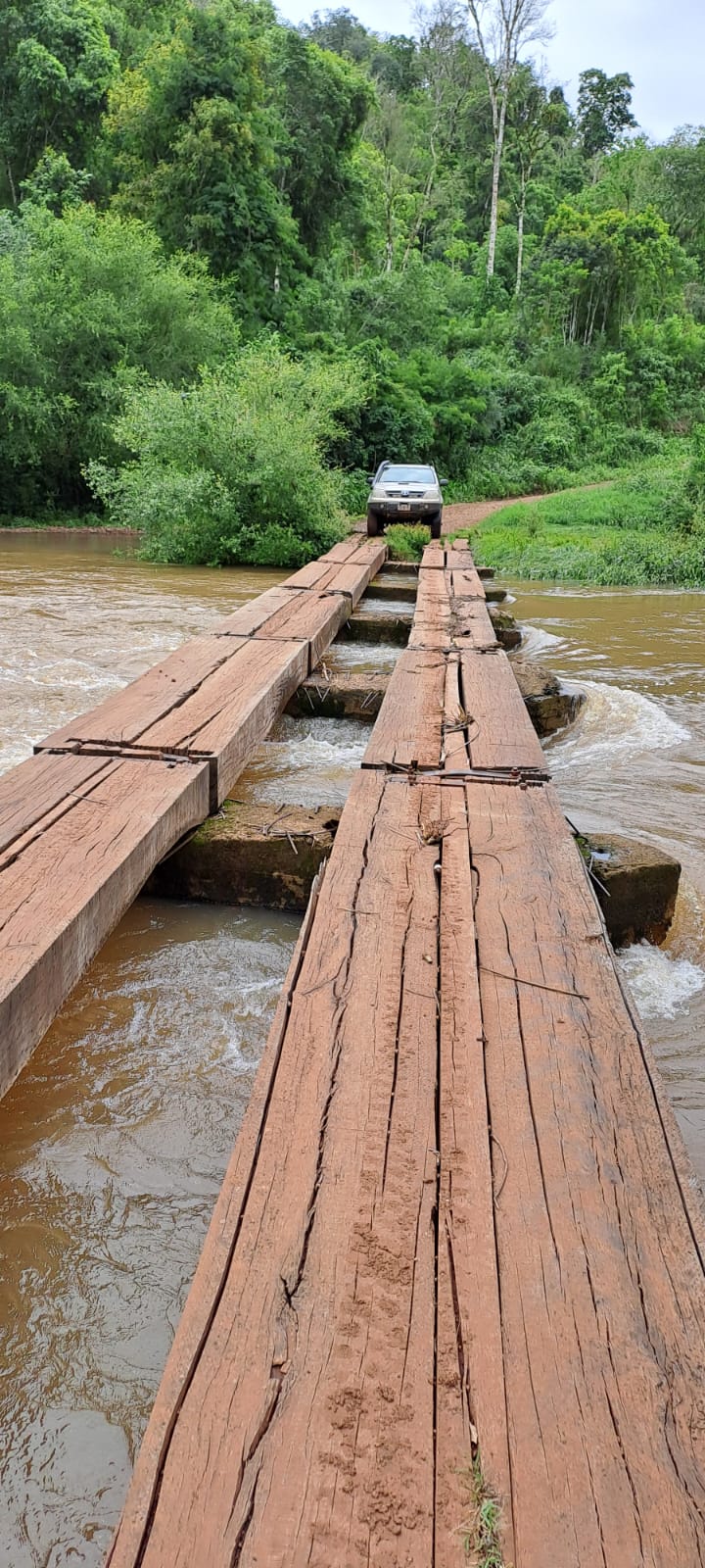 Imagen de la actividad