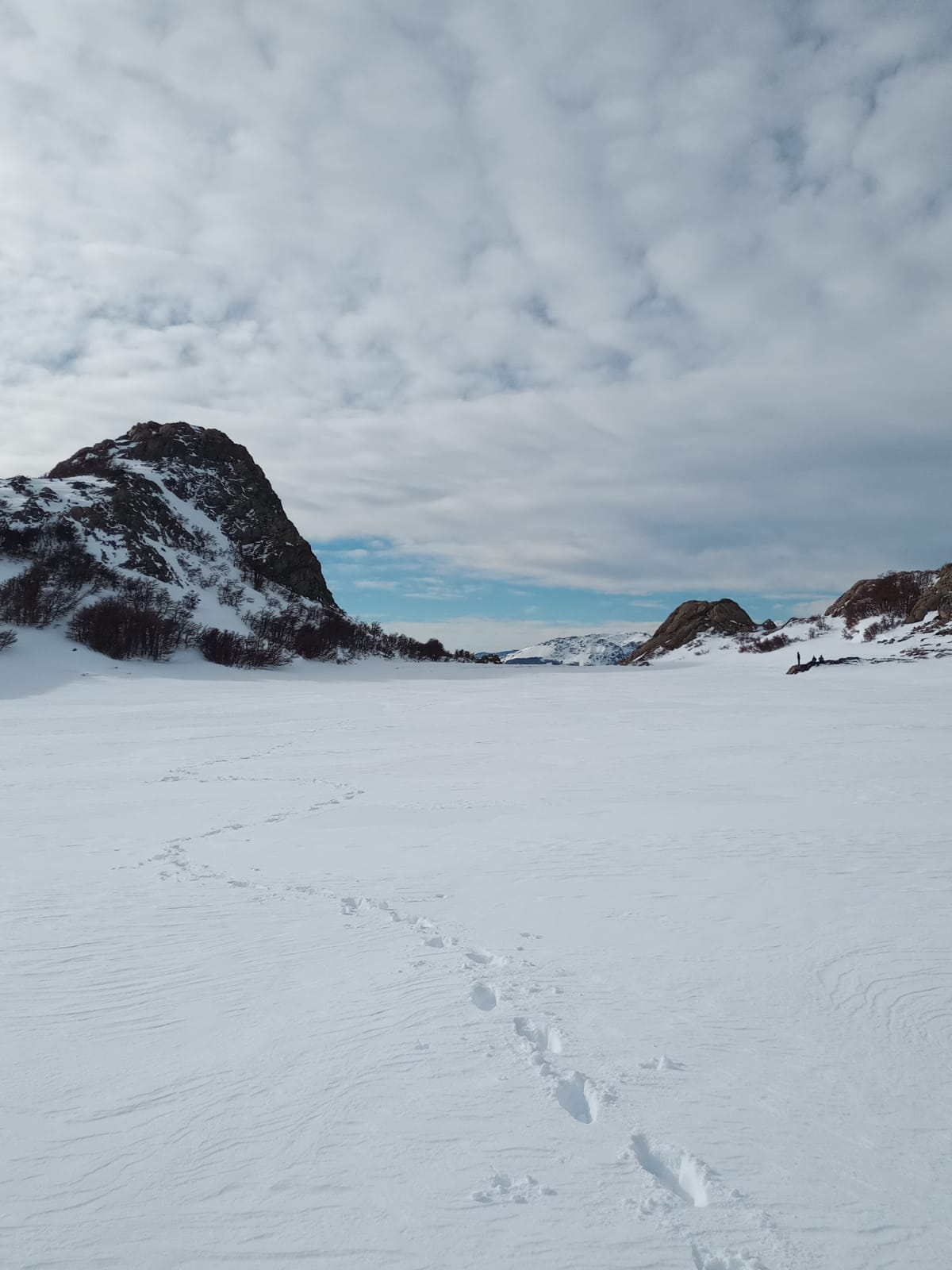 Imagen de la actividad