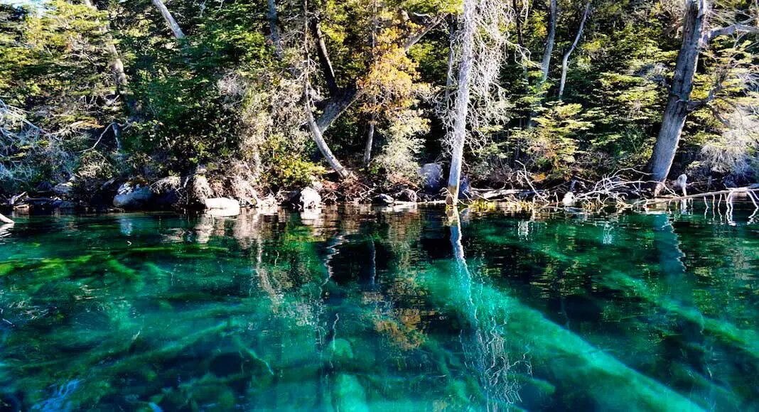 Excursión a Villa Traful y Camino de los Siete Lag