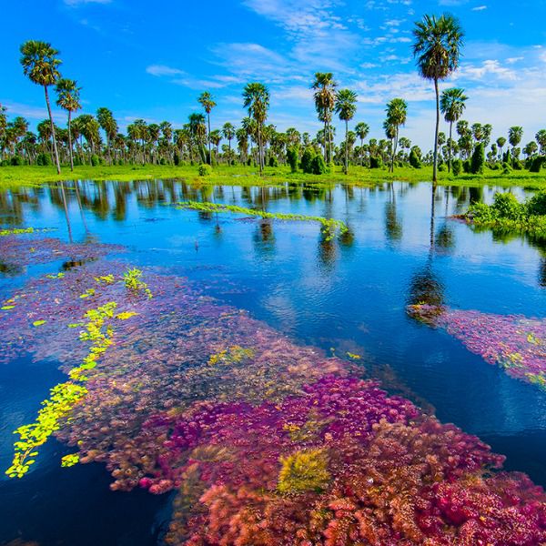 Imagen de BAÑADO LA ESTRELLA 